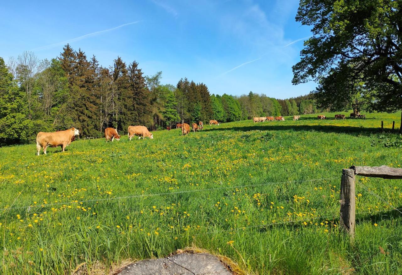 Zdomek Teplice nad Metují Exteriör bild
